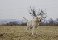 /album/a2010/img-3513-3-jpg/